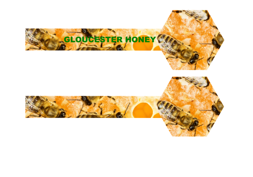 Bees on Comb Honey 1