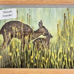 Mother & Baby Deer In Field Of Buttercups Greetings Card