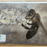7" x 5" HONEYBEE ON FLOWER GREETINGS CARD