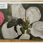 7" x 5" HONEYBEE ON WHITE FLOWER GREETINGS CARD