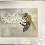 A3 Honey Bee on White Flower Print