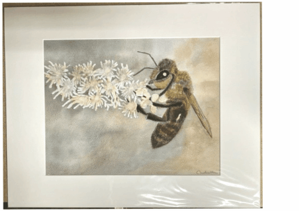 A3 Honey Bee on White Flower Print