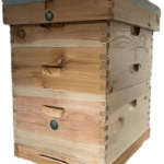 Langstroth Rock Bottom Hive CEDAR