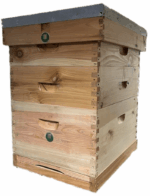 National 14x12 Rock Bottom DELUXE Hive Starter Kit - CEDAR