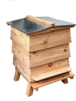 WBC Rock Bottom (Standard) Hive CEDAR - Image 2