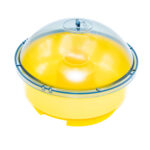 Wasp Trap Bowl