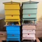 WBC Hive Empty (Outer Casing Only) - Image 2
