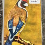 7" x 5" GOLDFINCH GREETINGS CARD