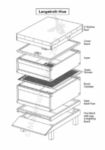Custom Langstroth Hive - Image 2