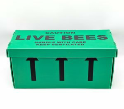 National 6 Comb 14x12 Nuc of Bees DEPOSIT REQUIRED