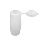 Introduction Queen Cells