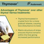 Thymovar (TREATS 5 HIVES) - Image 4