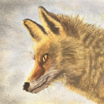 7" x 5" Fox GREETINGS CARD