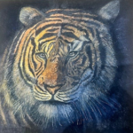 7" x 5" Tiger GREETINGS CARD