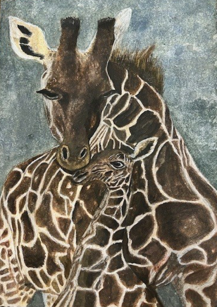 7" x 5" Mother & Baby Giraffe GREETINGS CARD