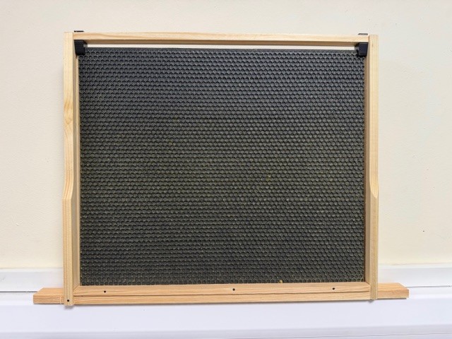 bs 14x12 plastic foundation photo 1 BS 14x12 Deep Plastic Foundation - Per 10 Sheets (Waxed BLACK) - Image 1